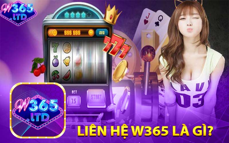 Liên hệ W365 là gì?